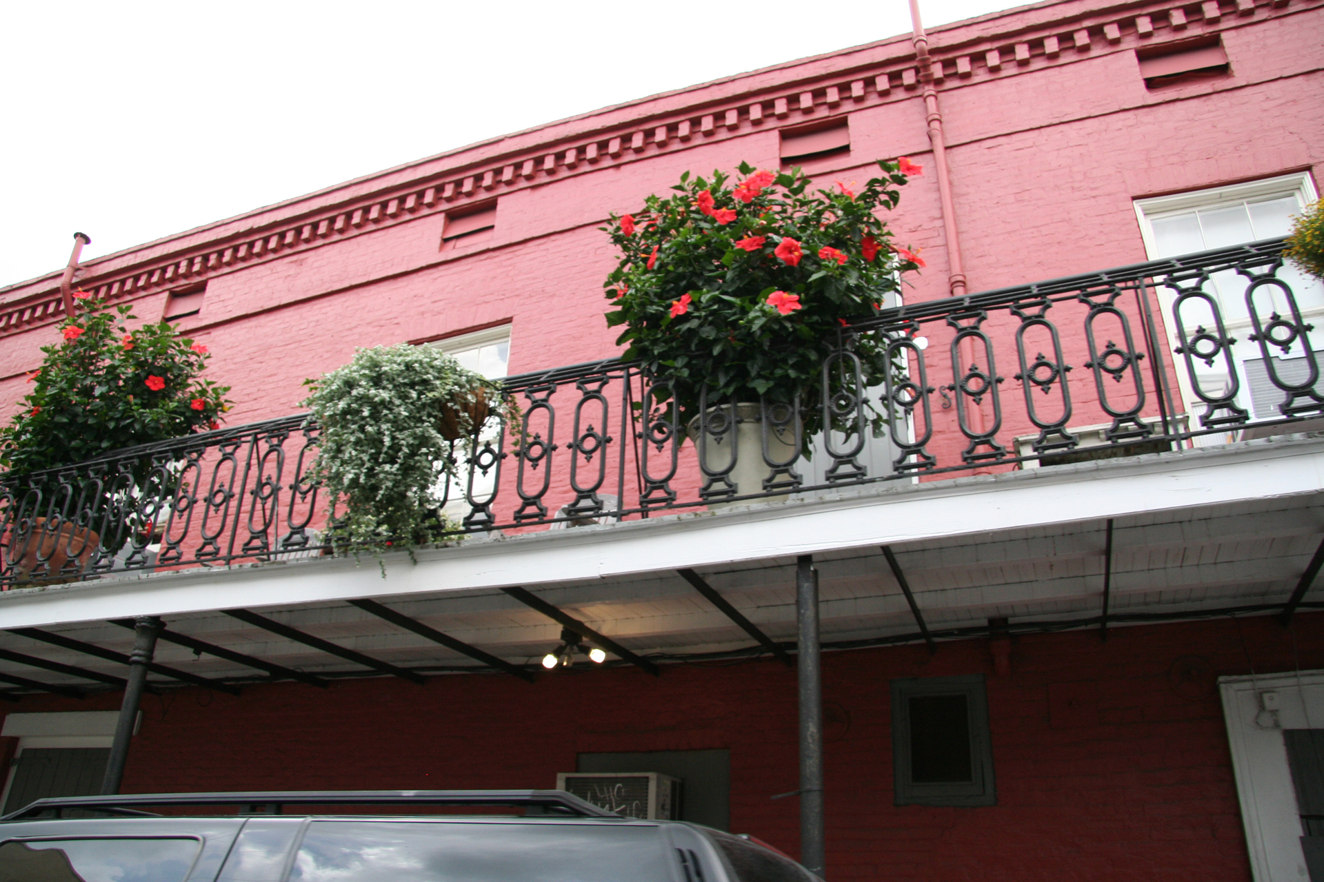 Blütenpracht auf Gusseisen/Floral Splendor on Wrought Iron